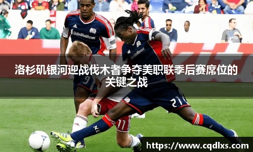 bellbet贝博官网
