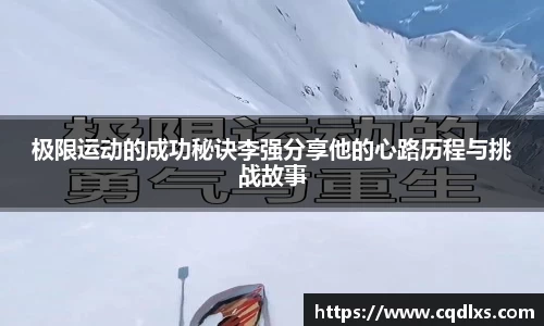 bellbet贝博